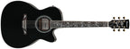 Ibanez AC391RCE - Black Top, Natural High Gloss