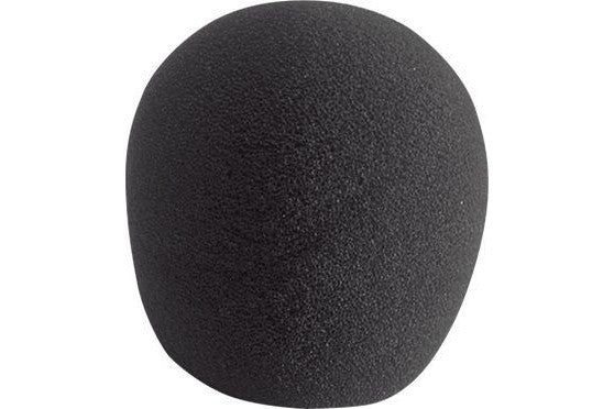 AKG_W880_1.jpeg