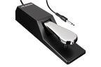 Alesis_ASP2_1.jpeg