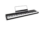 Alesis_Concert_2.jpeg