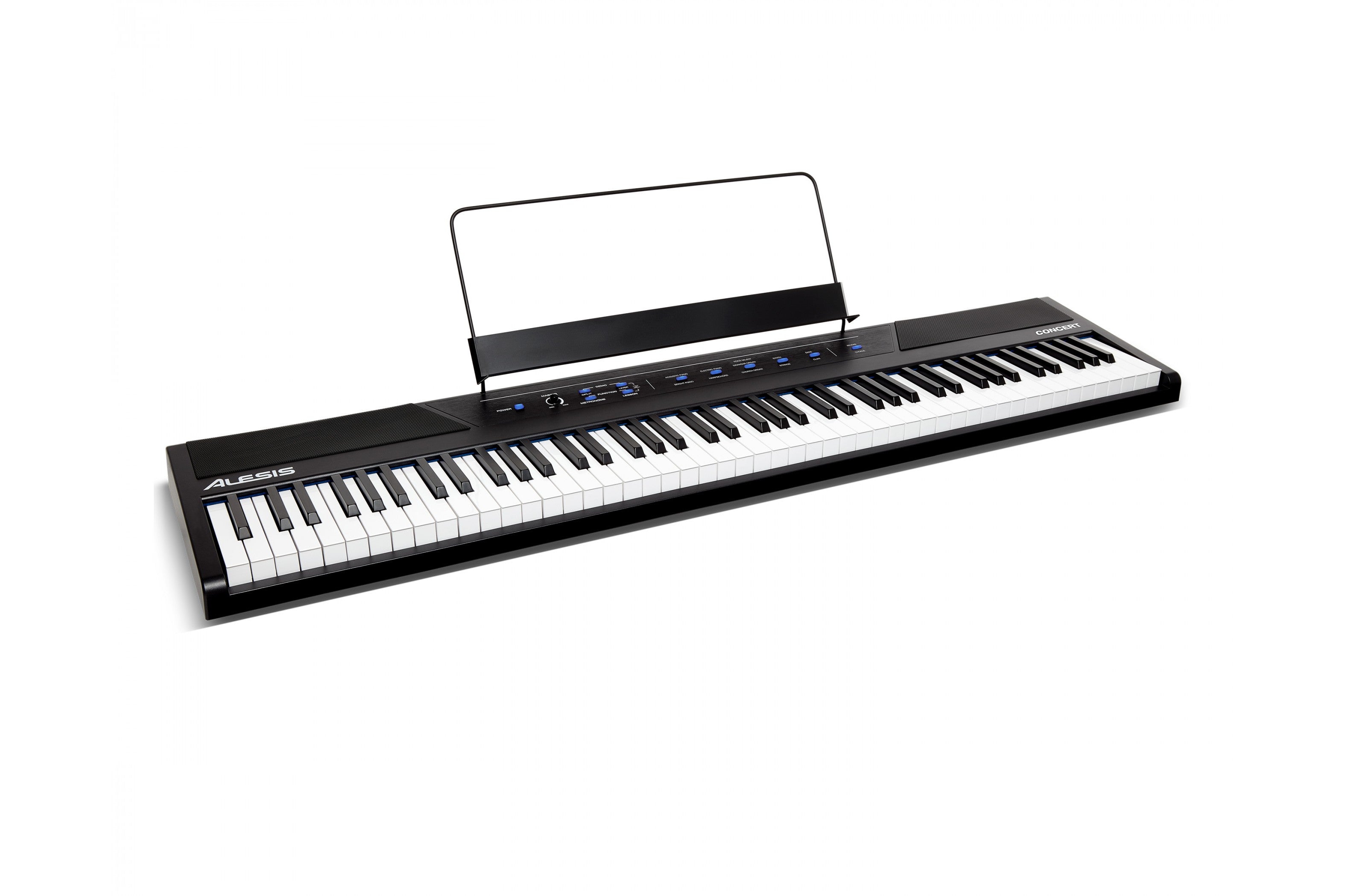Alesis_Concert_2.jpeg