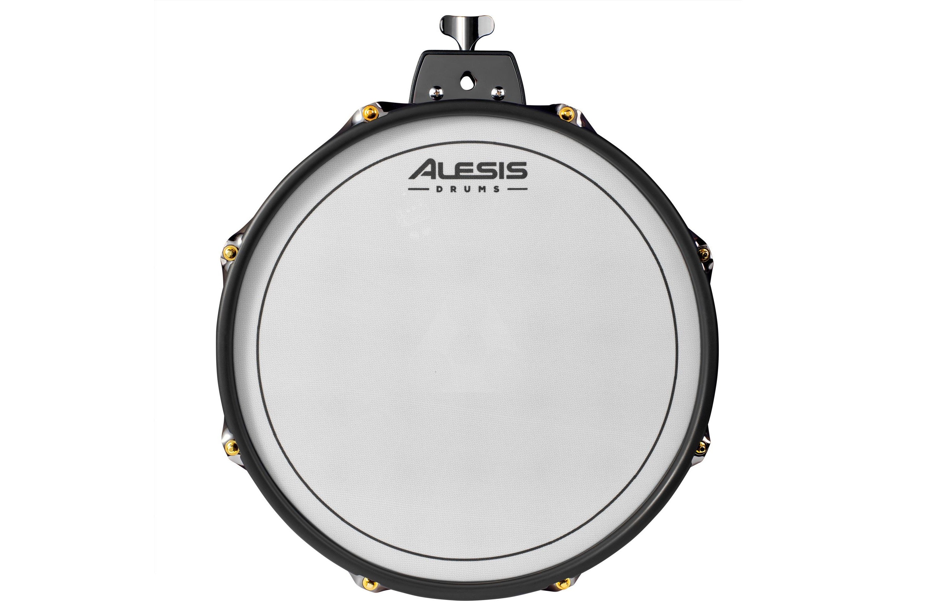 Alesis_Strata_Prime_12.jpeg