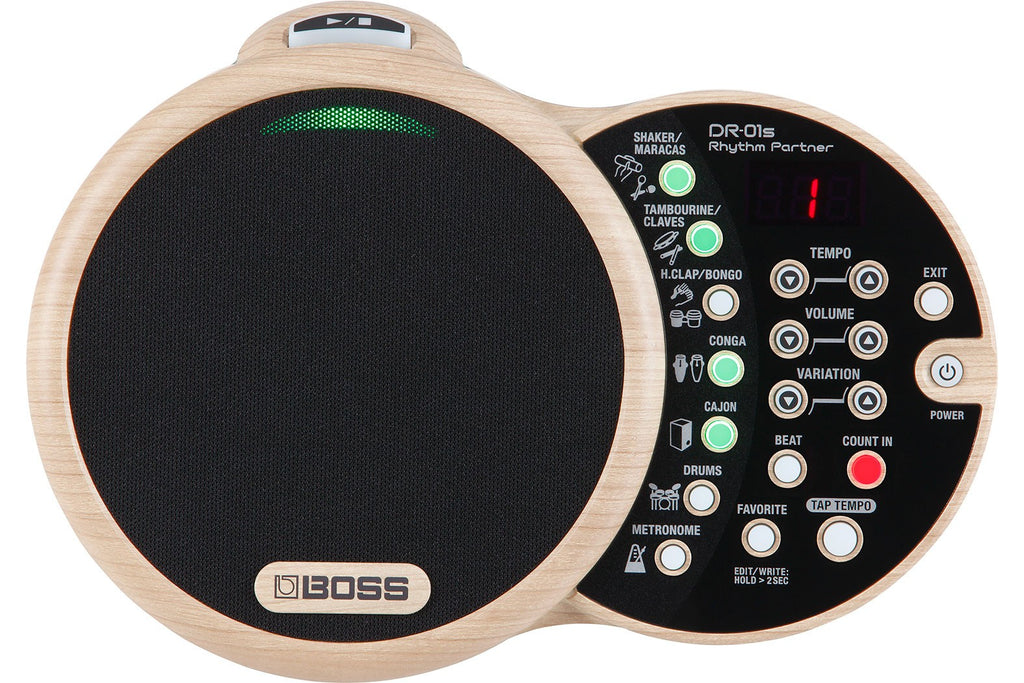 BOSS_DR_01S_Rhythm_Partner_1.jpeg