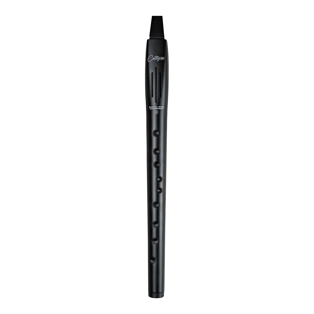 Carry-on Digital Wind Instrument 2 - Black_1