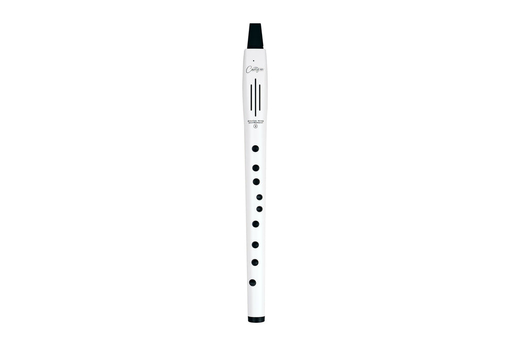 Carry_on_Digital_Wind_Instrument_2_White_1.jpeg