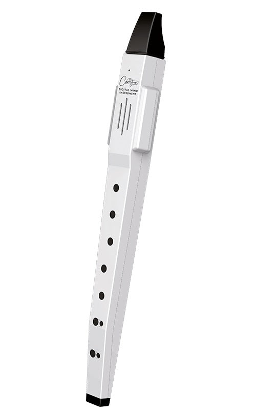 Carry-on Digital Wind Instrument - White_1
