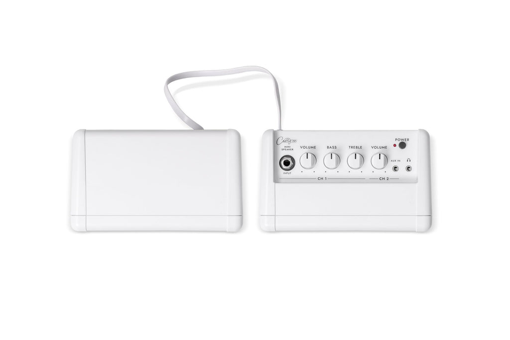 Carry_on_Mini_Speaker_Bundle_Package_3.jpeg