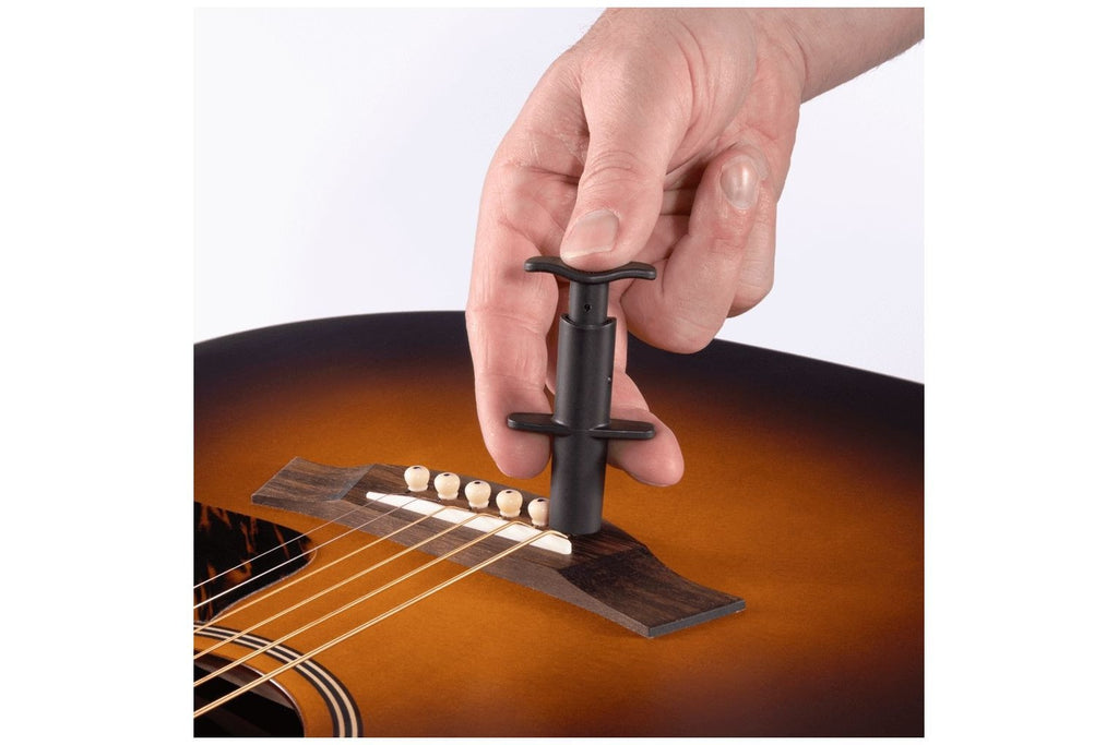 D_Addario_PW_BPP_01_5.jpeg