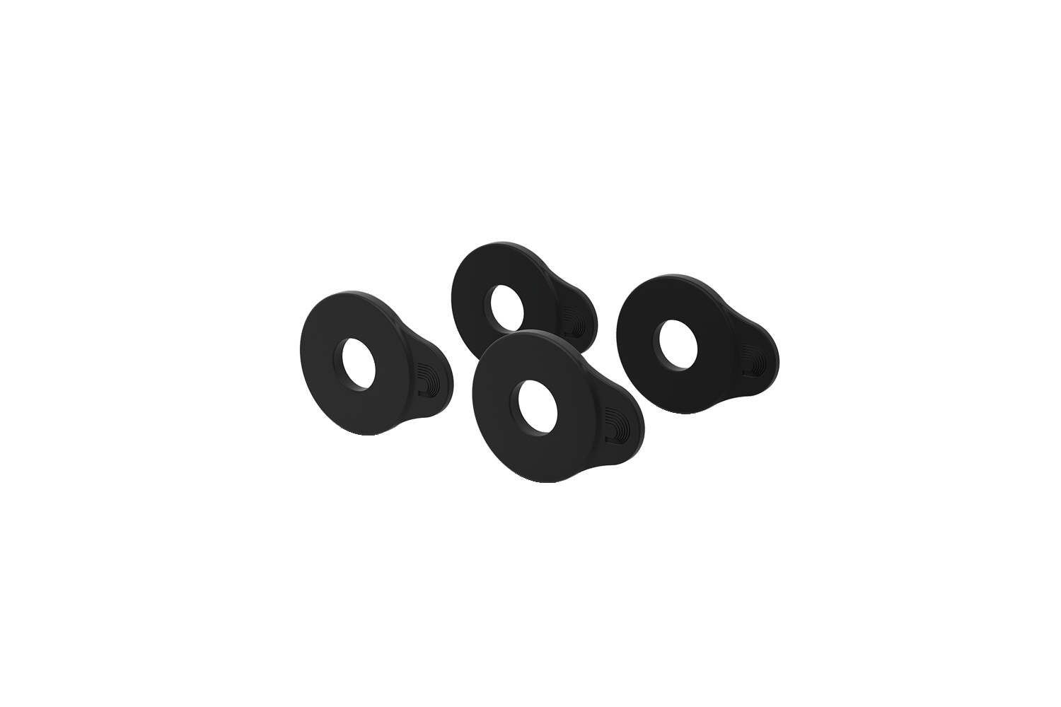 D_Addario_PW_FLSB_04BK_1.png