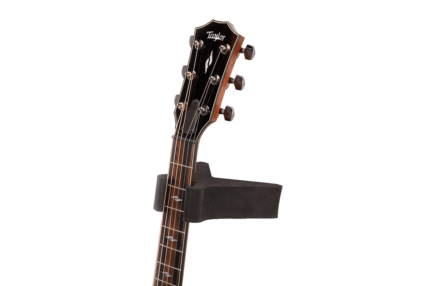 D_Addario_PW_UNR_01_2.png