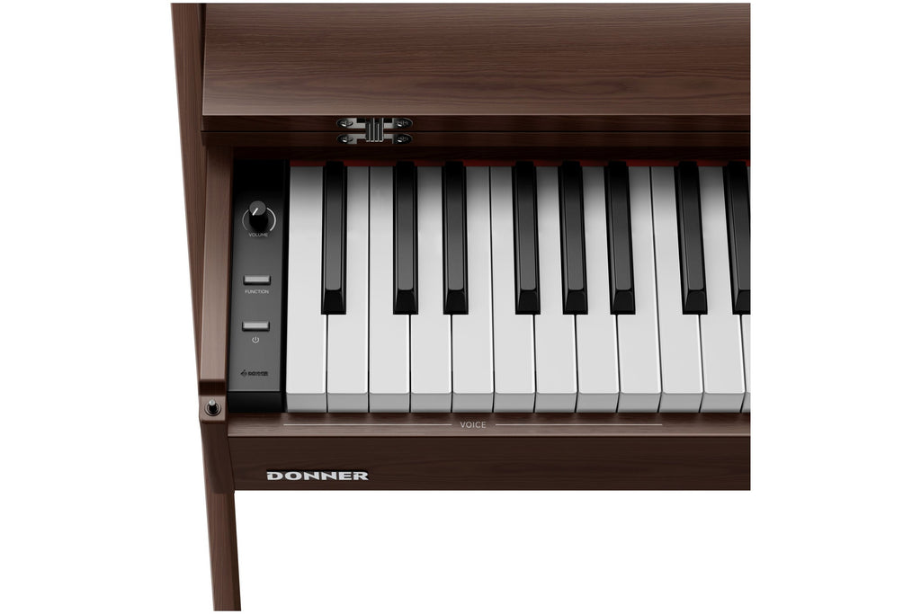 Donner_Oura_R300_Walnut_7.jpeg