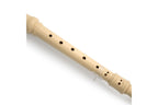 Eastar_ERS_21GN_Soprano_Recorder_C_Natural_3.jpeg