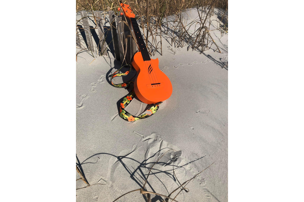 Enya_Music_Nova_U_Concert_Orange_3.jpeg