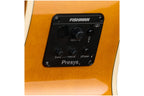 Epiphone_J_200_Studio_EC_Natural_5.jpeg
