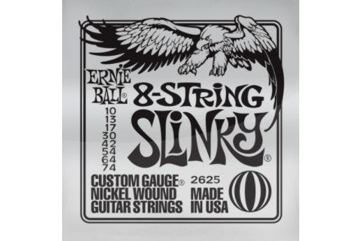 Ernie_Ball_EB_2625_1.jpeg