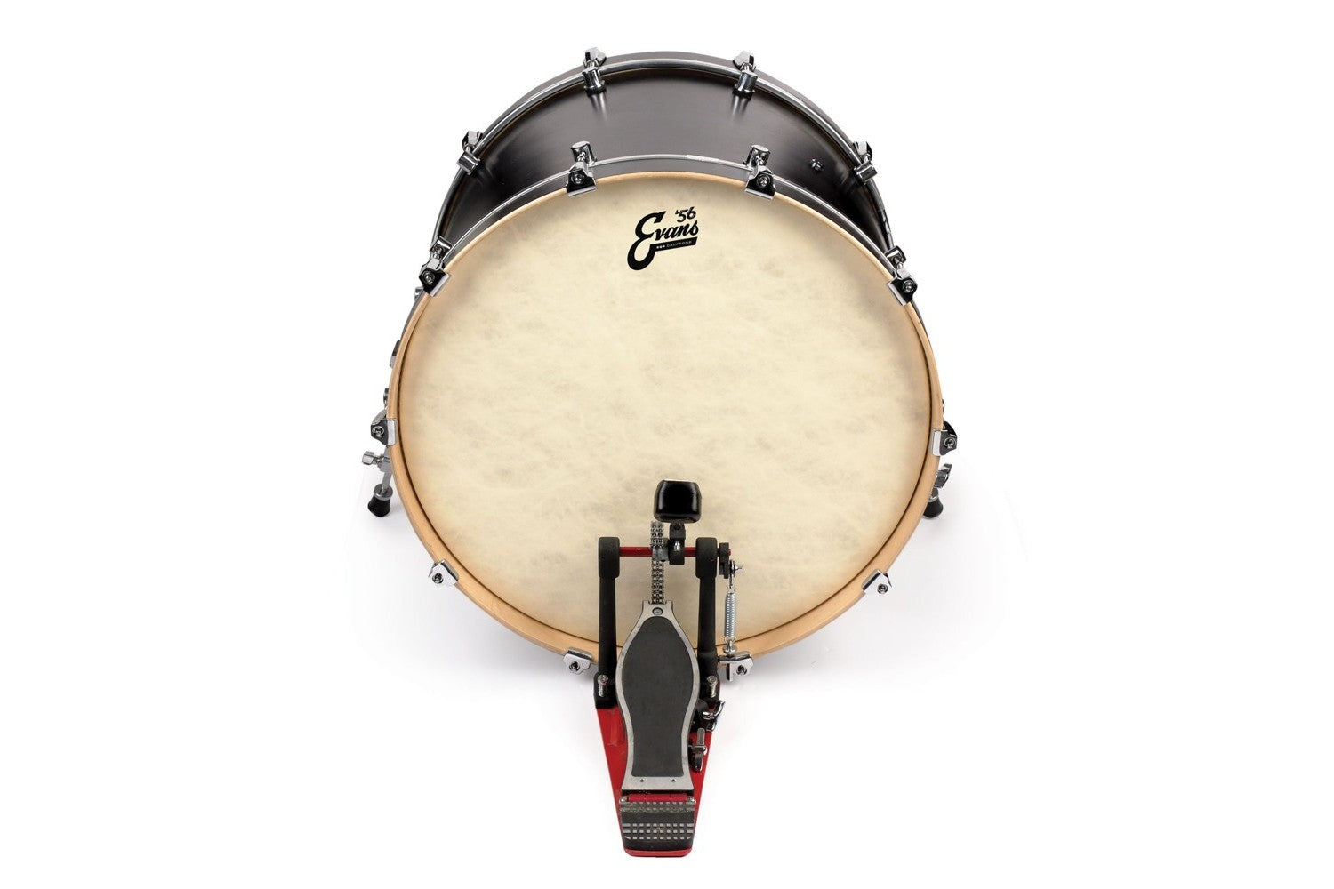 Evans_56_EQ4Calftone_22_BD22GB4CT_2.jpeg