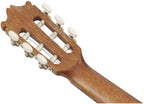 IBANEZ GA2 - Open Pore Amber