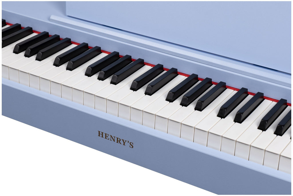 Henry_s_Jr_Vila_DPV055_Blue_4.jpeg