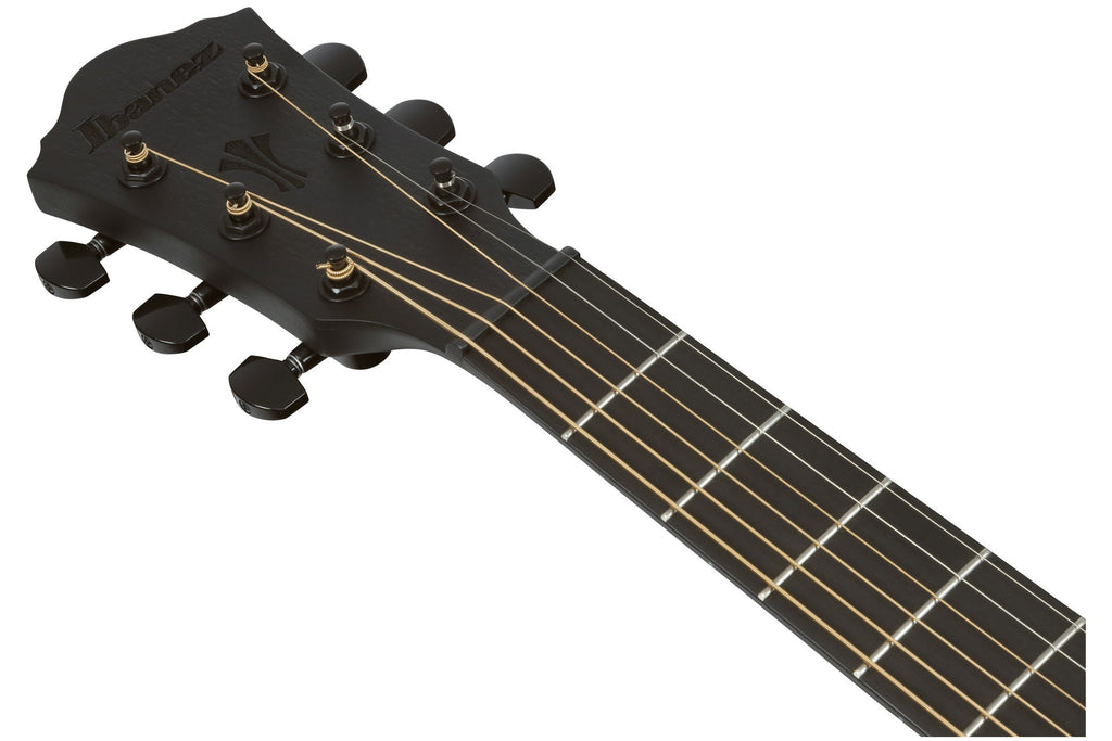 Ibanez_AEG621_BOT_Black_Out_10.jpeg