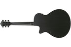 Ibanez_AEG621_BOT_Black_Out_2.jpeg