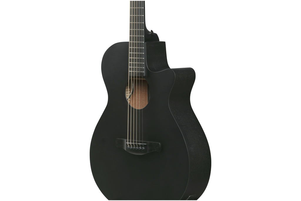 Ibanez_AEG621_BOT_Black_Out_6.jpeg