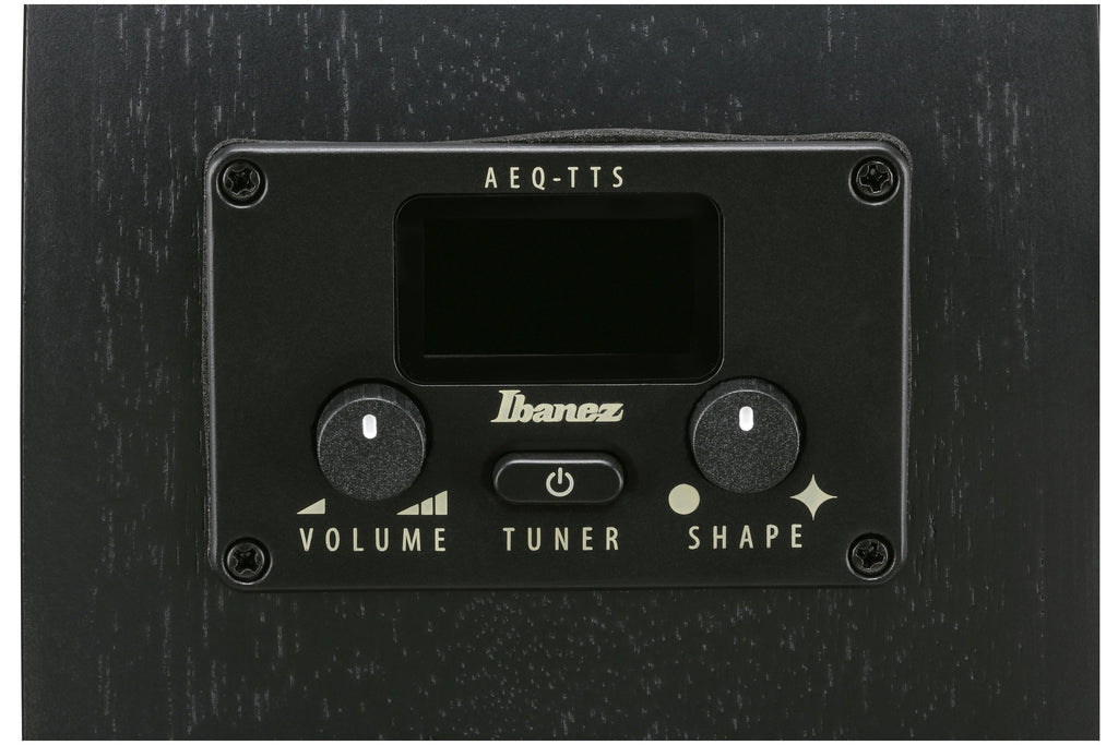 Ibanez_AEG621_BOT_Black_Out_9.jpeg