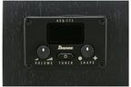 Ibanez_AEG621_BOT_Black_Out_9.jpeg