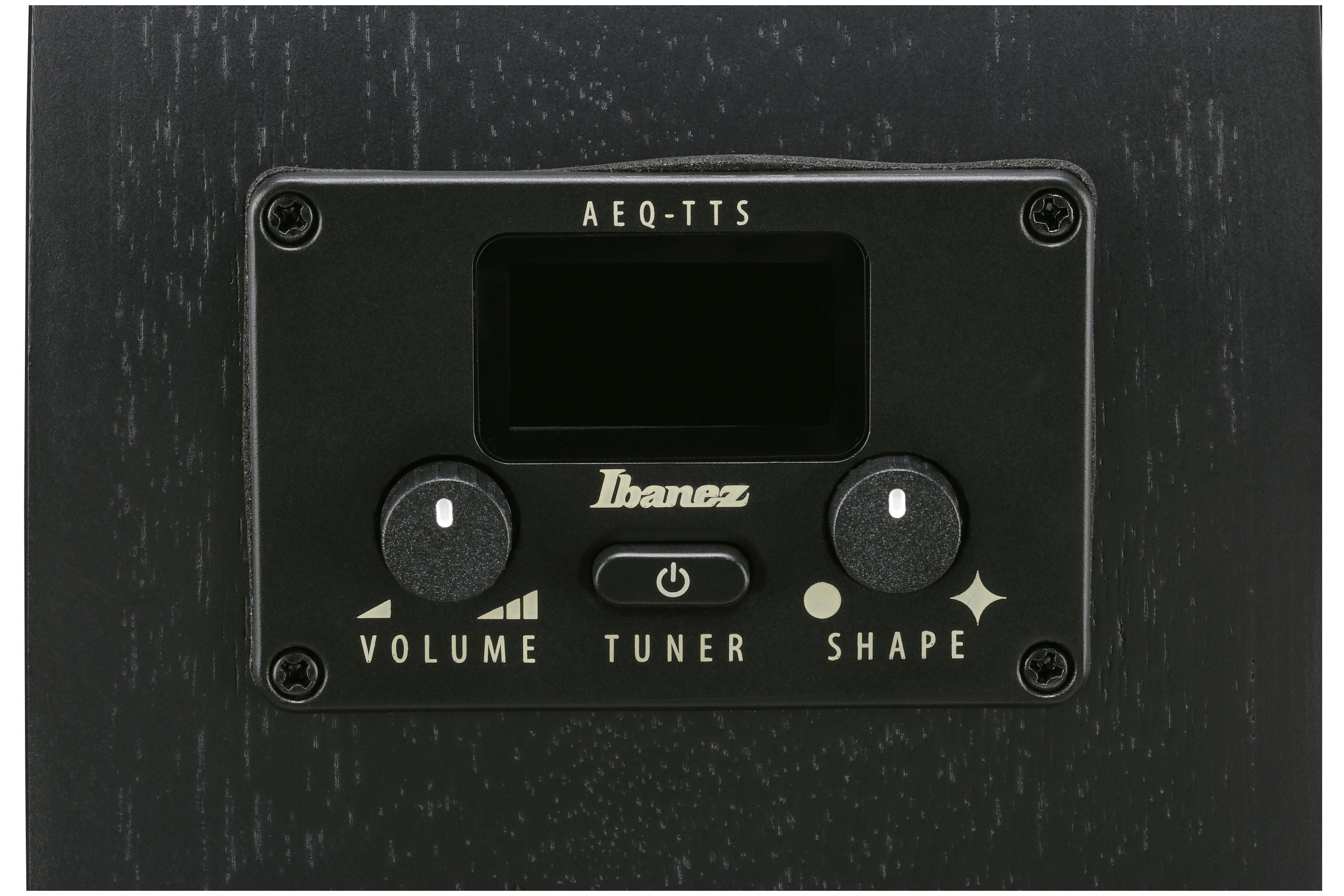 Ibanez_AEG621_BOT_Black_Out_9.jpeg