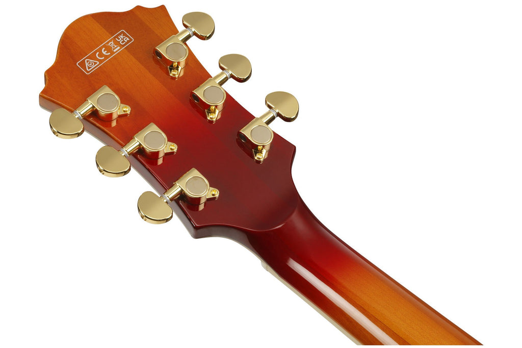 Ibanez_AF115_AWB_Aged_Whiskey_Burst_5.jpeg