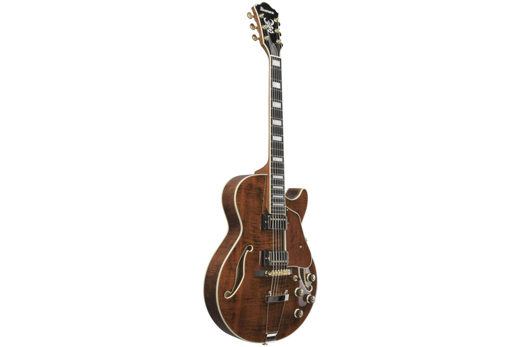 Ibanez_AG95MG_DA_Dark_Amber_2.jpeg
