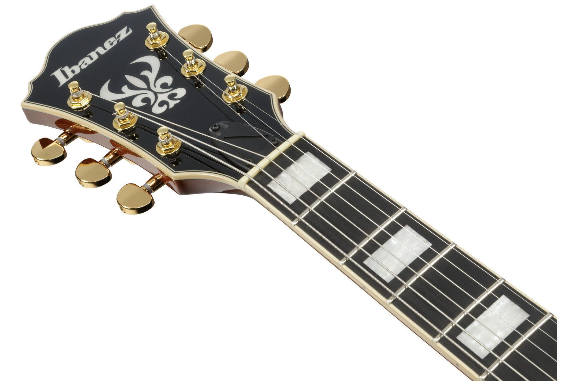 Ibanez_AG95MG_DA_Dark_Amber_5.jpeg