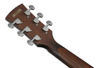 Ibanez_AJ54E_OPN_Open_Pore_Natural_4.jpeg