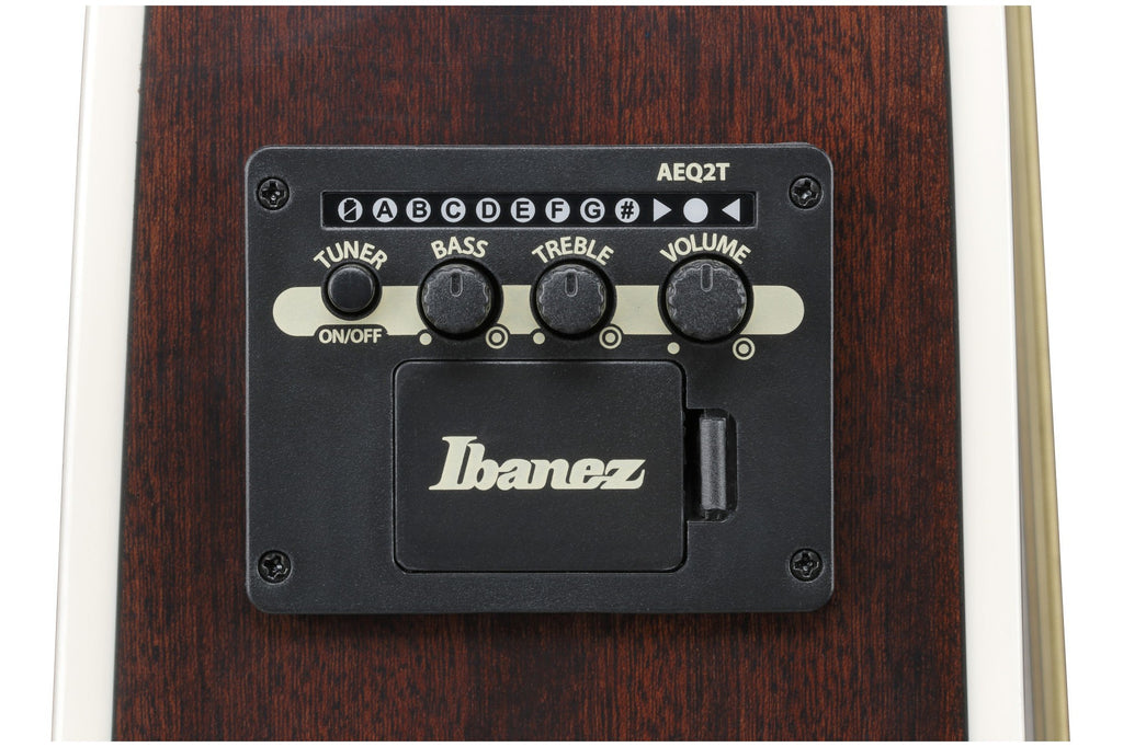 Ibanez_ALT50FA_BDB_Blue_Doom_Burst_High_Gloss_5.jpeg
