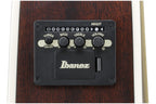 Ibanez_ALT50FA_BDB_Blue_Doom_Burst_High_Gloss_5.jpeg