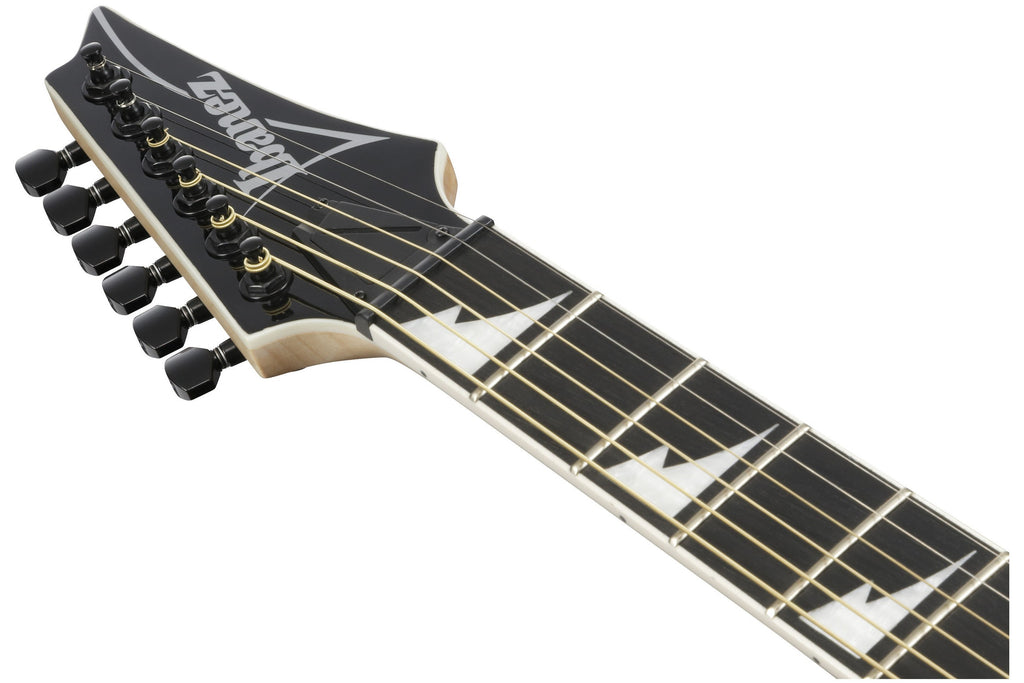 Ibanez_ALT50FA_TVT_Transparent_Violet_Sunburst_High_Gloss_10.jpeg