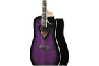 Ibanez_ALT50FA_TVT_Transparent_Violet_Sunburst_High_Gloss_3.jpeg