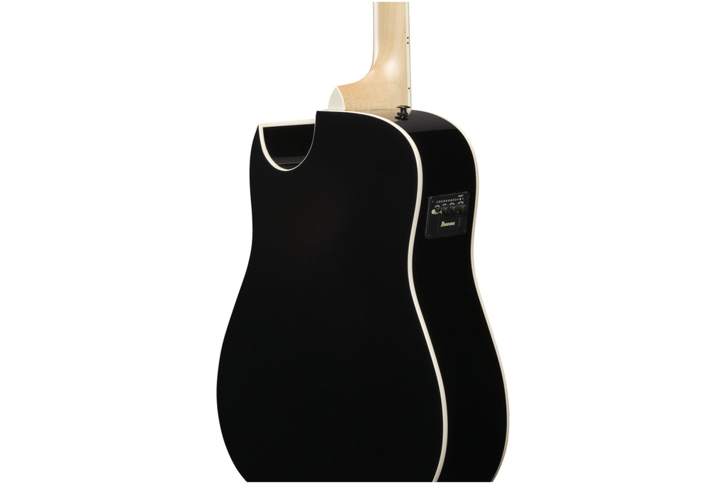 Ibanez_ALT50FA_TVT_Transparent_Violet_Sunburst_High_Gloss_7.jpeg