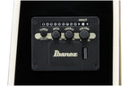 Ibanez_ALT50FA_TVT_Transparent_Violet_Sunburst_High_Gloss_9.jpeg