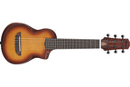 Ibanez_AUP10N_OLB_Open_Pore_Light_Brown_Sunburst_1.jpeg
