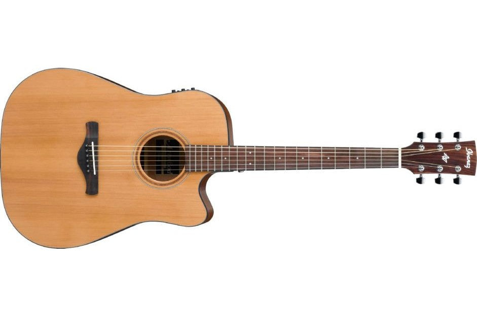 Ibanez_AW65ECE_LG_1.jpeg