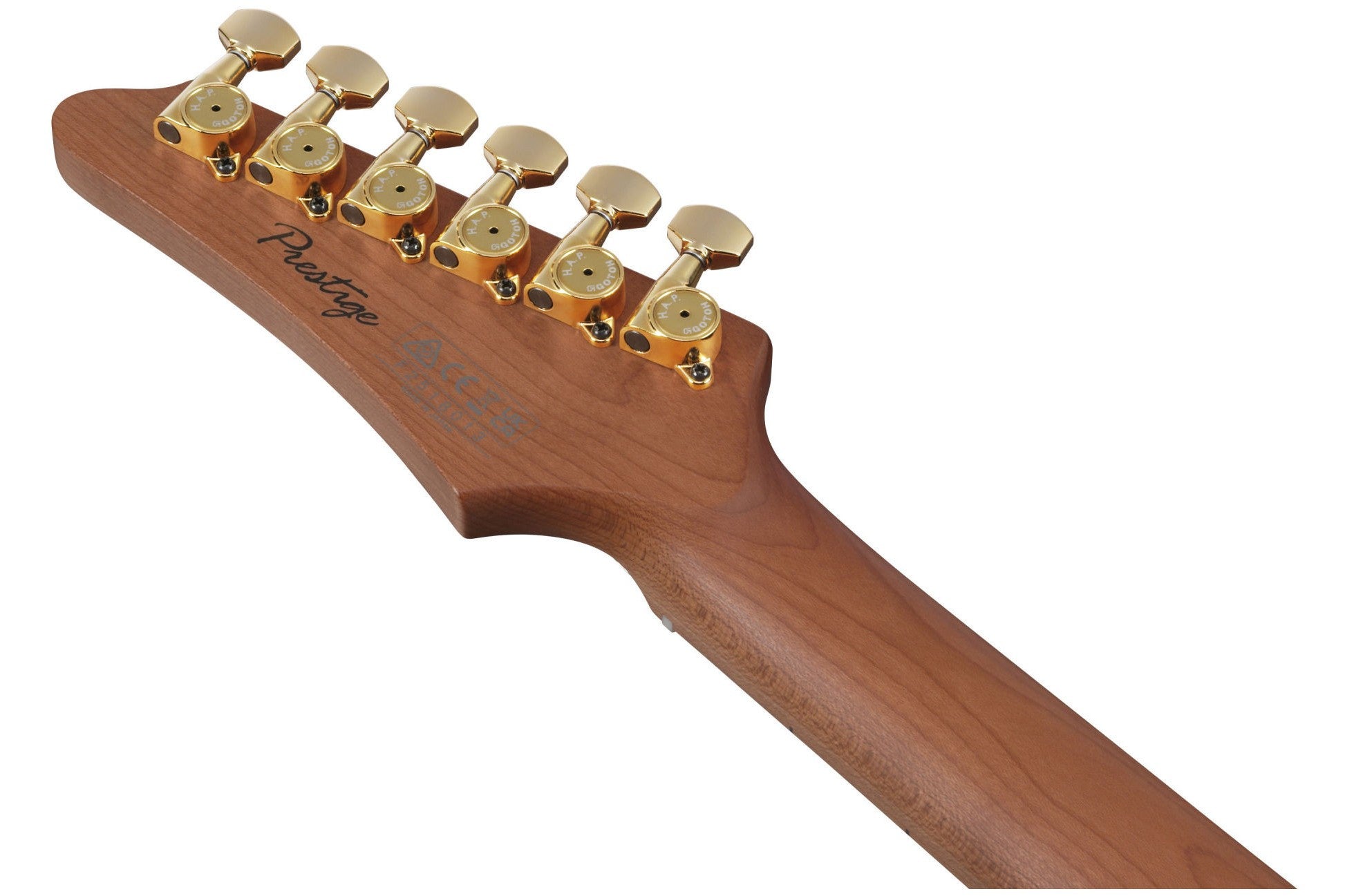 Ibanez_AZ2204AG_TFB_Tri_Fade_Burst_3.jpeg