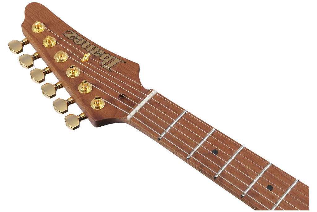 Ibanez_AZ2204AG_TFB_Tri_Fade_Burst_5.jpeg