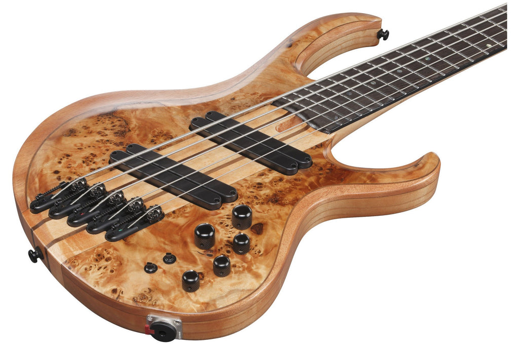 Ibanez_BTB805MS_FNL_Florid_Natural_Low_Gloss_4.jpeg