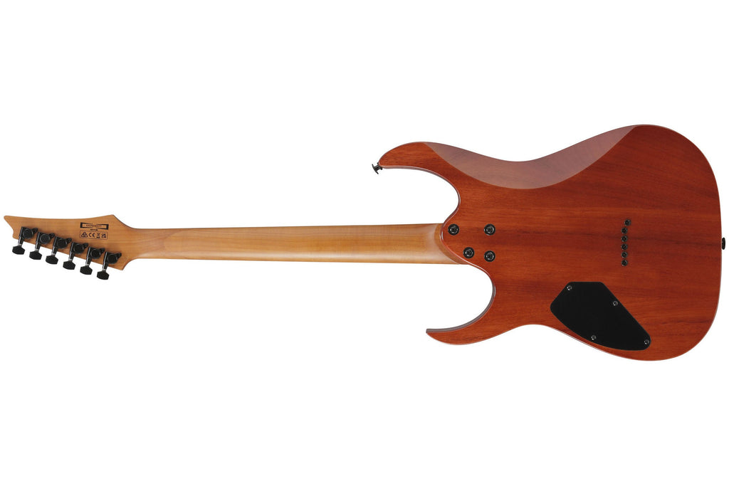 Ibanez_GRGR221FA_TDK_Transparent_Indigo_Black_2.jpeg