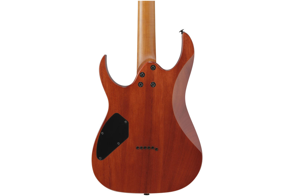Ibanez_GRGR221FA_TDK_Transparent_Indigo_Black_5.jpeg