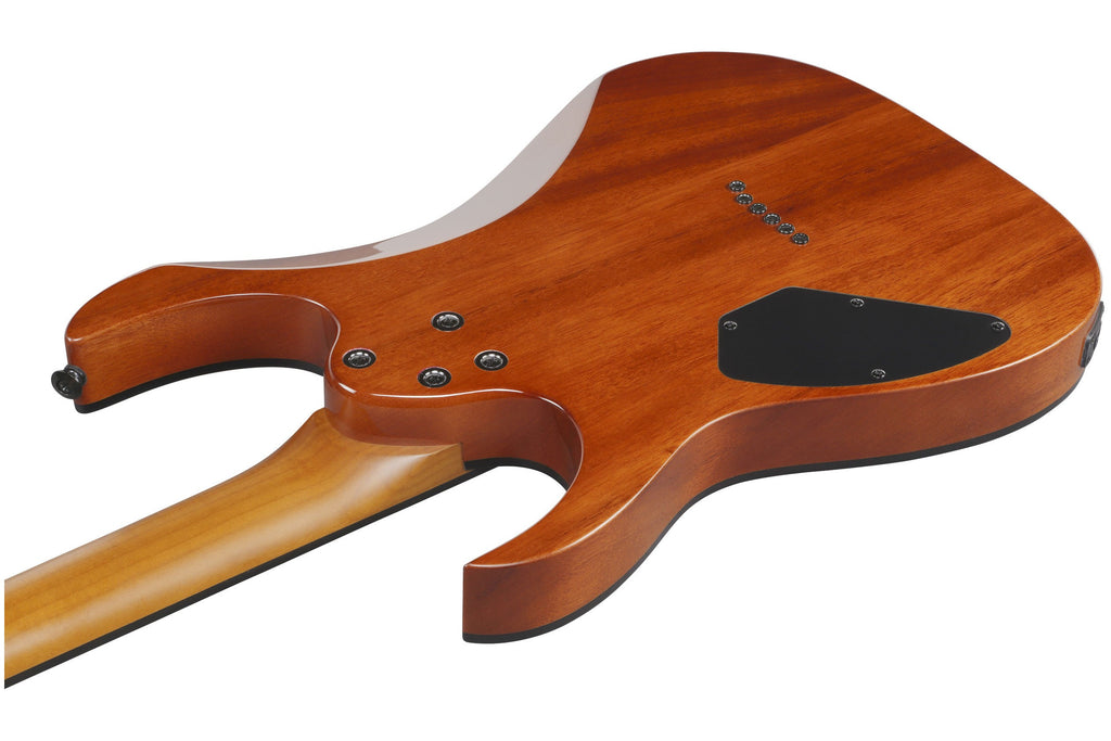 Ibanez_GRGR221FA_TDK_Transparent_Indigo_Black_8.jpeg