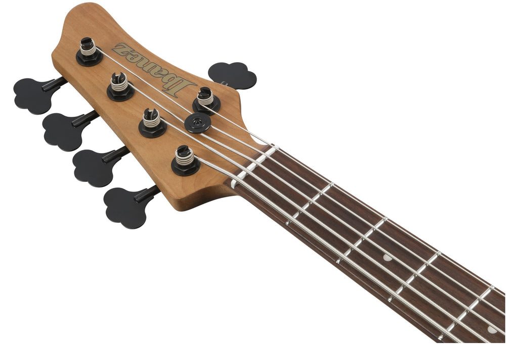 Ibanez_MDM1605_DTW_Deep_Twilight_5.jpeg