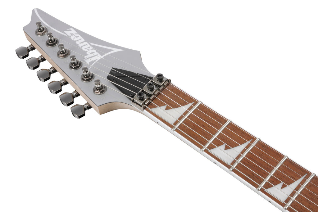 Ibanez RG450DX-CSV - Classic Silver Limited Edition_4