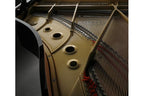 Kawai_GL_10_Ebony_Polish_4.jpeg