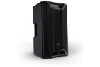 LD_Systems_ICOA_PRO_12_A_1.jpeg